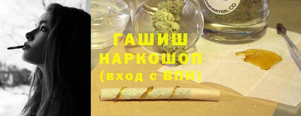 крисы Каменка
