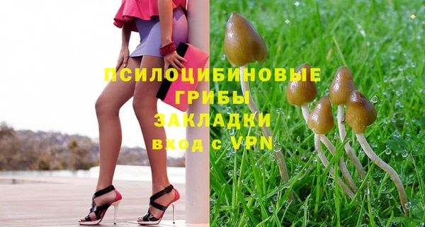 крисы Каменка