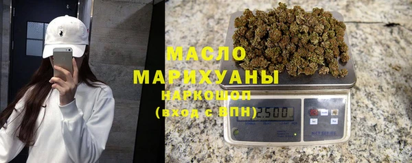 крисы Каменка
