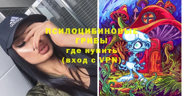 мяу мяу мука Инсар