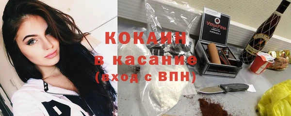 крисы Каменка
