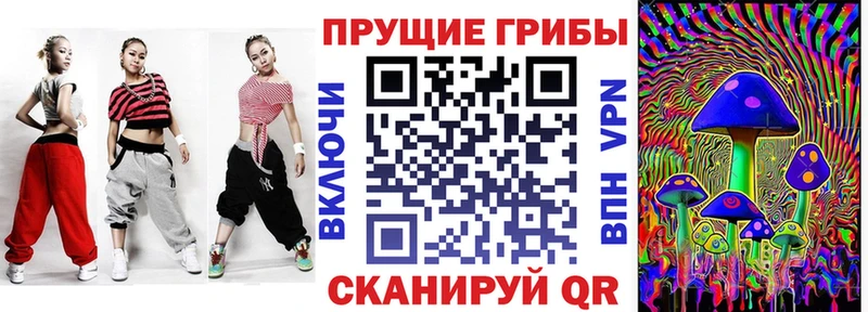 Купить  Лениногорск  Галлюциногенные грибы MAGIC MUSHROOMS 