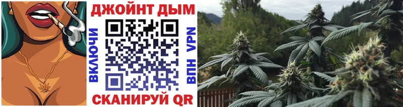 Шишки марихуана ГИДРОПОН  Купить  Лениногорск 